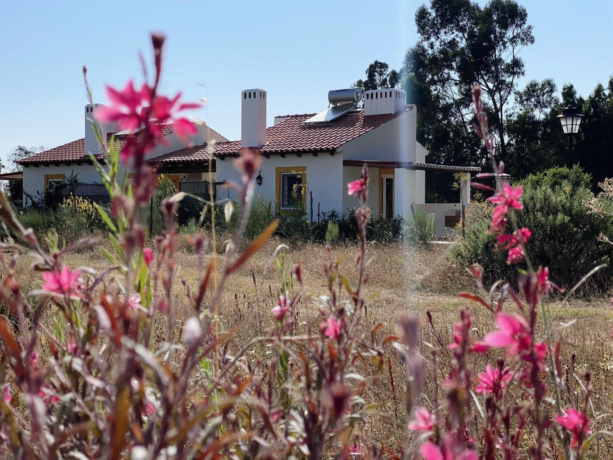 Monte Dos Cachoupos Villa Sao Luis Bagian luar foto